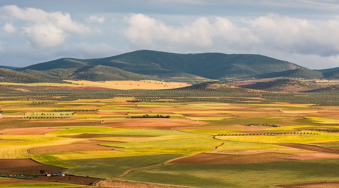 La Mancha paisaje