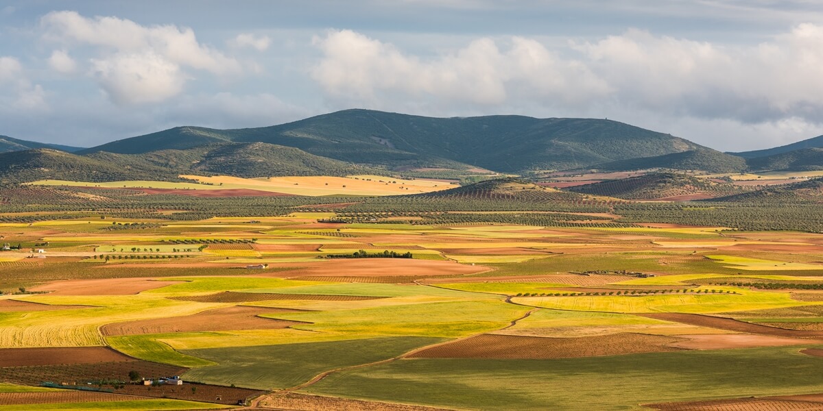 La Mancha paisaje